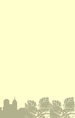card-name-9038