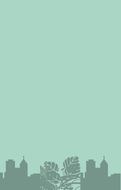 card-name-6616