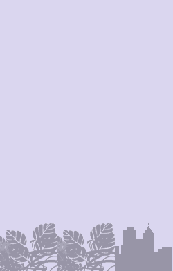 card-name-9005