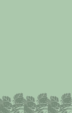 card-name-5645