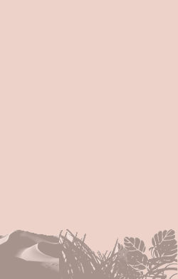 card-name-4766