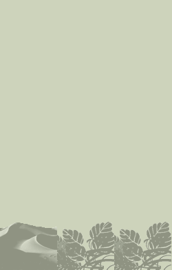 card-name-9033