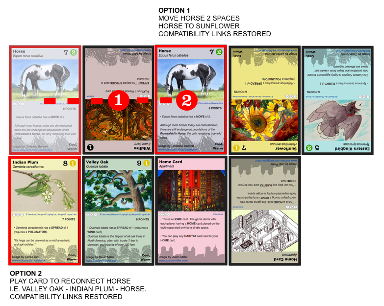 Ecosystem Game Basic Rules Version 1 4a Phylo The Trading Card Game