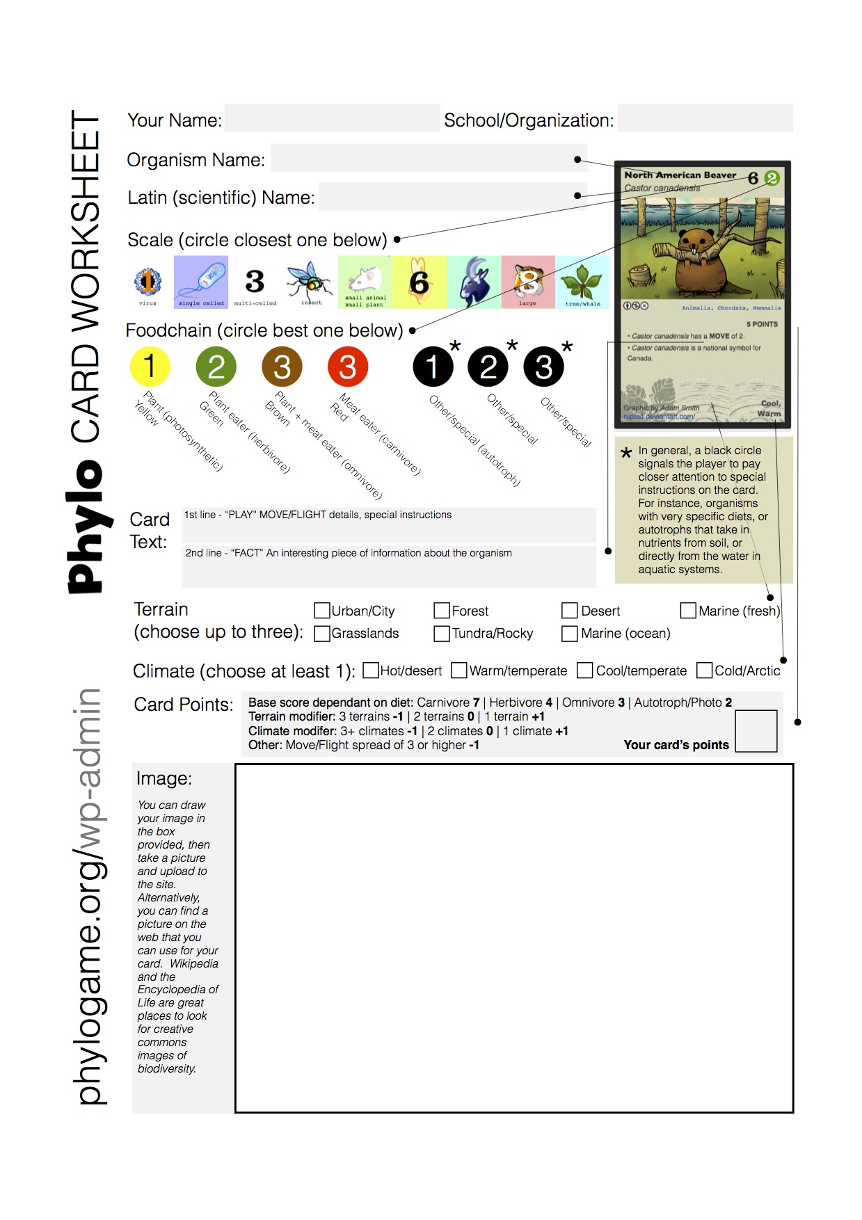 Introducing the Phylo Trading Card Game DIY Home School Activity