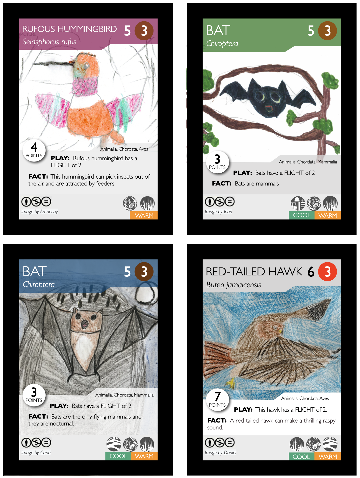 Blog  PHYLO: THE TRADING CARD GAME