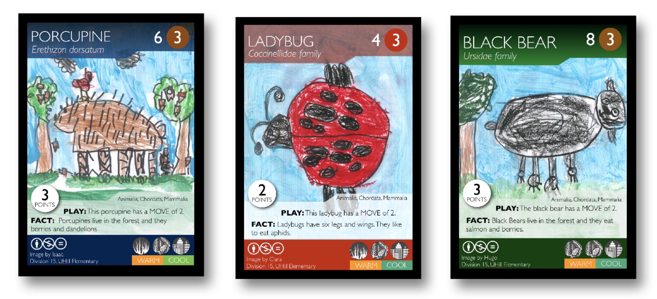 Introducing the Phylo Trading Card Game DIY Home School Activity